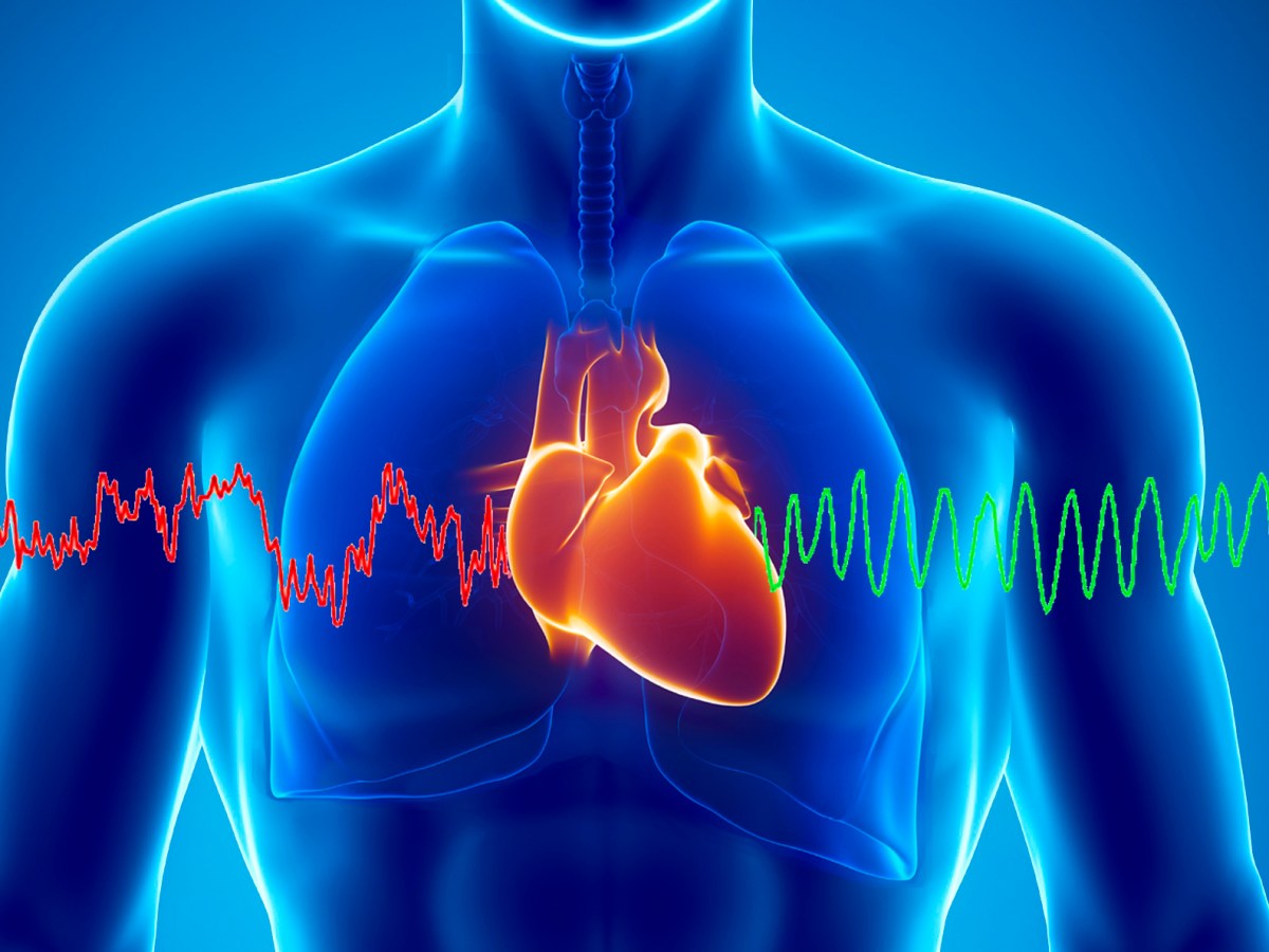 SINCRONIZZA CUORE E CERVELLO