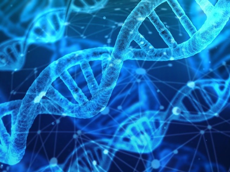 I 12 STRATI DELL’IMMORTALITÀ